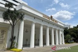 Indonesia condemns Israeli strikes on Syria amid Suwayda tensions