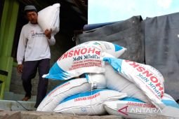 Akses cepat pupuk subsidi untuk merawat harapan petani padi