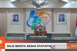 RI alami inflasi 0,3 persen secara bulanan pada Juli 2025