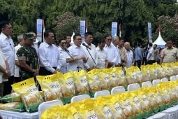 Pemerintah salurkan 43 ribu ton beras SPHP untuk stabilkan harga