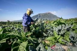 Memastikan statistik selaras dengan realitas ekonomi