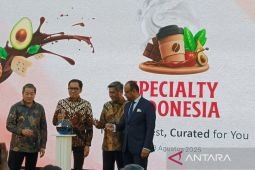 Kemenperin jalankan ekstensifikasi lahan pacu produktivitas kakao