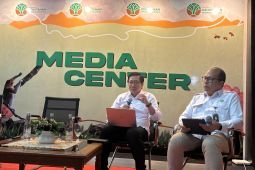 Kemenhut pastikan belum terbitkan izin pemanfaatan hutan Pulau Sipora