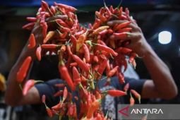 Harga beras premium turun, cabai rawit Rp47.257/kg