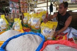 Harga pangan Selasa ini, beras medium Rp13.652/kg dan cabai rawit Rp46.680 /kg