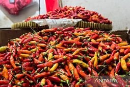 Harga pangan Sabtu ini, beras medium Rp13.678/kg dan cabai rawit Rp46.372/kg