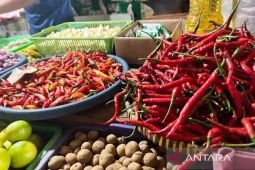 Harga pangan Kamis ini, beras premium Rp15.782/kg dan cabai rawit Rp41.868/kg