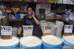 Harga pangan Senin ini,  beras medium Rp13.657/kg dan cabai rawit Rp45.791/kg
