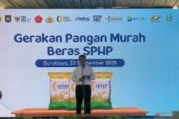 Mentan: Pemerintah berupaya keras jaga stok pangan masyarakat