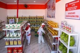 Kemenkeu-BI tegaskan burden sharing terapkan prinsip berhati-hati