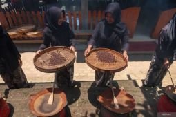 Pengembangan kopi Banyuwangi