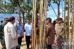 Pemerintah percepat bongkar ratoon tebu