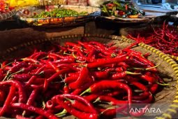 Harga pangan Senin ini, cabai rawit Rp45.558/kg dan bawang merah Rp38.036/kg