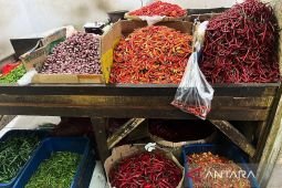 Bapanas: Harga cabai rawit Rp41.271/kg, bawang merah Rp38.997/kg