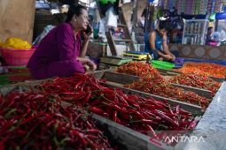 Harga pangan Sabtu ini, cabai rawit Rp44.858/kg dan bawang merah Rp38.208/kg
