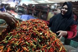 Harga cabai rawit turun jadi Rp44.267/kg, bawang merah Rp37.403/kg