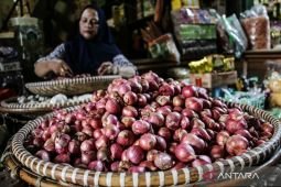 Harga pangan Jumat ini, cabai rawit Rp42.318/kg dan bawang merah Rp38.689/kg