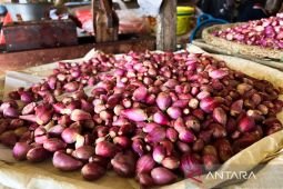 Bapanas: Cabai rawit Rp45.031/kg, bawang merah Rp38.100/kg