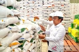 Pemerintah proses ulang 29,99 ribu ton beras turun mutu