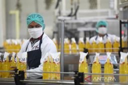 Surplus neraca perdagangan Agustus 2025 disumbang minyak nabati