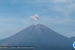 Semeru alami delapan kali erupsi dengan tinggi letusan 800 meter