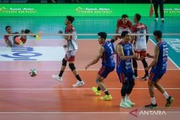 LavAni lanjutkan kemenangan tanpa kehilangan set di final four Livoli