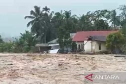 Kerugian akibat banjir di Padang Pariaman capai Rp268,5 miliar