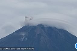 Semeru delapan kali erupsi dengan letusan setinggi 800 meter