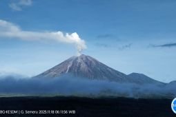 Semeru erupsi dengan tinggi letusan 800 meter di atas puncak