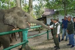 Menhut: Bencana di Sumatera titik balik perbaikan tata kelola hutan