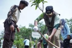 Pemkab Pacitan tanam 4.000 bibit pohon peringati HMPI 2025