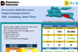 PLN pastikan jaringan listrik pulih total pascabencana Semeru