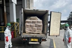 Satgas musnahkan 494 kotak berisi udang terkontaminasi Cesium-137