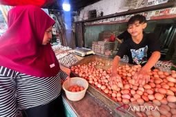 BPS catat kenaikan harga telur hanya di 151 kabupaten/kota