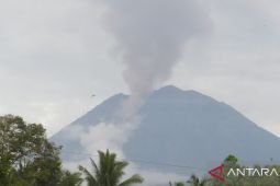 Semeru alami 45 gempa erupsi selama enam jam