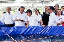 KKP bangun budidaya ikan bioflok untuk Kopdes Merah Putih di Situbondo