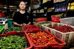Harga cabai rawit merah Rp69.750/kg, telur ayam Rp33.000/kg