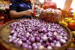 Harga pangan Senin ini, cabai rawit Rp69.963/kg dan bawang merah Rp46.240/kg