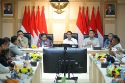 Mentan/Kabapanas: Harga pangan tak boleh naik saat stok melimpah