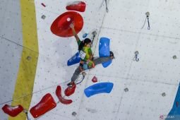 Empat atlet Indonesia tembus final panjat tebing lead putra-putri