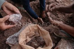 WNA China berpotensi jadi tersangka kasus tambang emas ilegal Sekotong