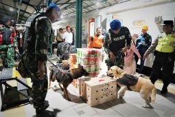 KAI Madiun libatkan anjing pelacak cegah  narkoba saat angkutan Nataru