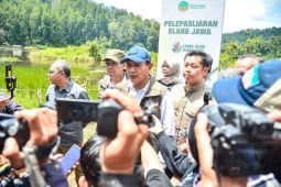 Kemenhut tindaklanjuti usulan kawasan konservasi baru untuk satwa di Jawa