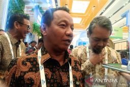 Pemerintah tidak naikkan tarif listrik triwulan I 2026
