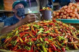 Harga Cabai rawit merah Rp53.854/kg dan telur ayam Rp29.938/kg