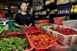 Harga pangan Senin ini, cabai rawit Rp58.796/kg dan bawang merah Rp39.173/kg