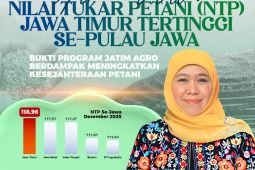 Gubernur Khofifah: NTP Jatim tertinggi di Jawa pada Desember 2025