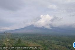 Badan Geologi: Aktivitas vulkanik Gunung Semeru masih tinggi