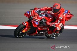 Marc Marquez akui tengah dalam diskusi kontrak dengan Ducati