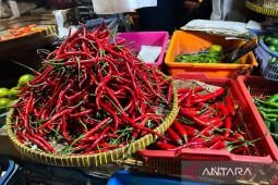 Harga pangan Kamis ini, bawang merah Rp44.000/kg dan cabai rawit merah Rp76.550/kg
